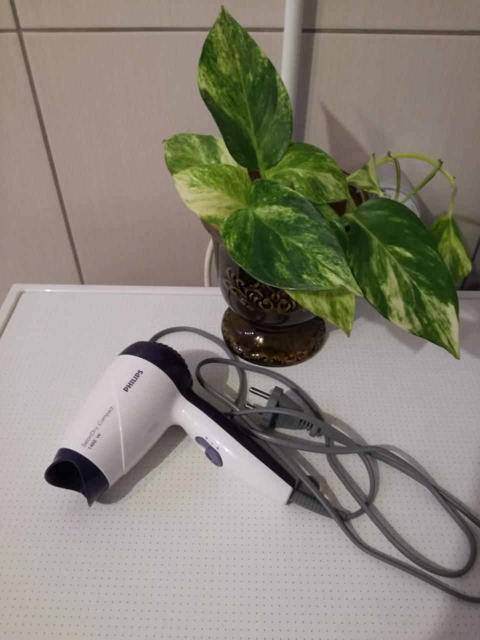 Papiniidu Studio Apartments パルヌ エクステリア 写真